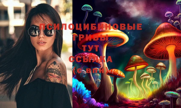 первитин Бородино